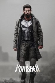 The Punisher: One Last Kill